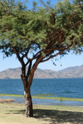 Etiopia.